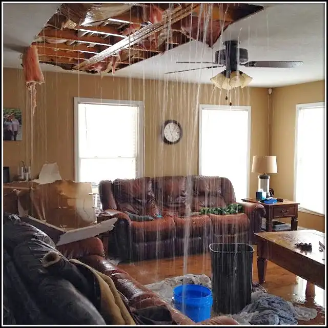 Water Damage Restoration services in Columbus, GA
